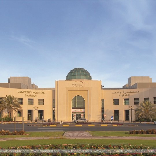 PEN technique emerges as one of the most-preferred treatments for lower back pain in UAE